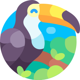 Toucan icon