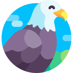 adler icon