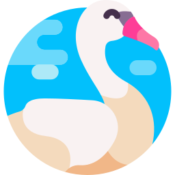 Swan icon