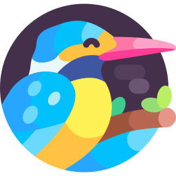 Kingfisher icon