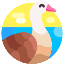 Goose icon