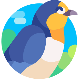 Swallow icon