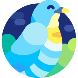 Cuckoo icon