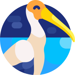 Stork icon