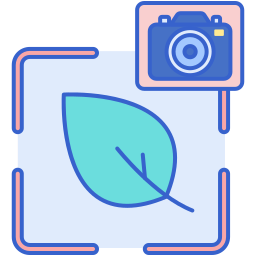 Photogprah icon