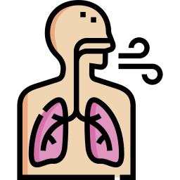 système respiratoire Icône