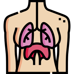 ademhalingssysteem icoon