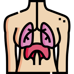 système respiratoire Icône