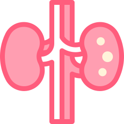 Kidneys icon