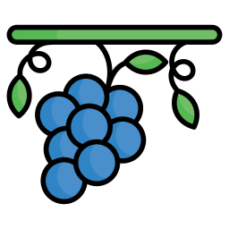 Grapes icon