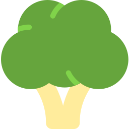 broccoli icoon