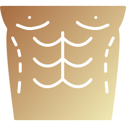 복부 성형 icon