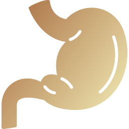 Stomach icon