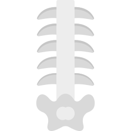 spina dorsale icona