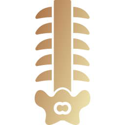 背骨 icon