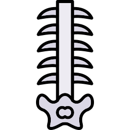 Columna vertebral icono