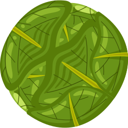 Cabbage  icon