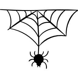 Spider icon