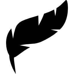 Feather icon