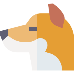 shiba icona