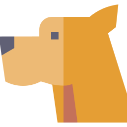 boxer icon