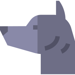xoloitzcuintle icona