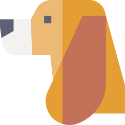 basset hound Icône