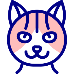 amerykański kot szorstkowłosy ikona