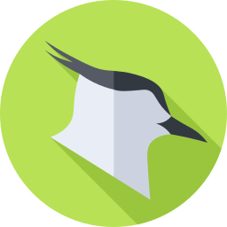 Northern lapwing icon