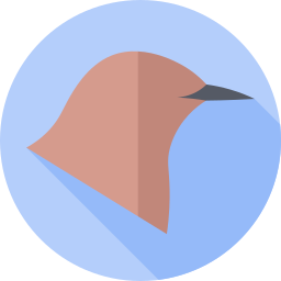 Water pipit icon