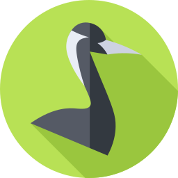 Demoiselle crane icon