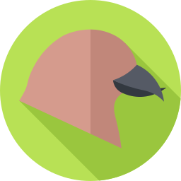 Seed eating bird icon