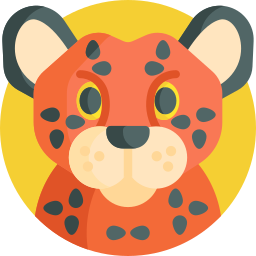 Cheetah icon