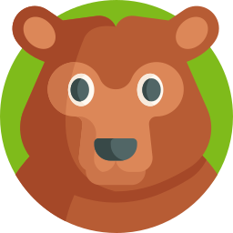 Bear icon