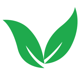 Plant leaf icon