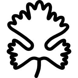 コリアンダー icon