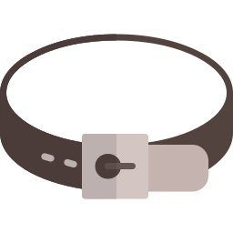 Belt icon