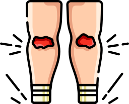 膝 icon