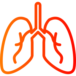 Lungs icon