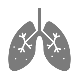 Lungs icon