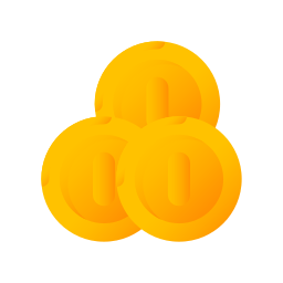 Coin icon