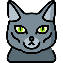 gato korat icono