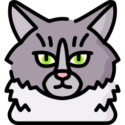 Norwegian Forest Cat icon