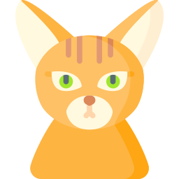 Abyssinian icon