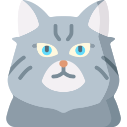 American bobtail icon