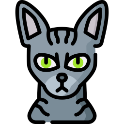 sphynx cat icon