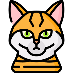 Toyger Cat icon