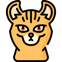 hooglander kat icoon