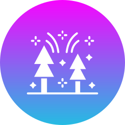 Celebration icon