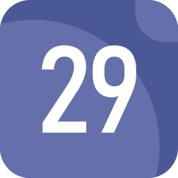 29 icon